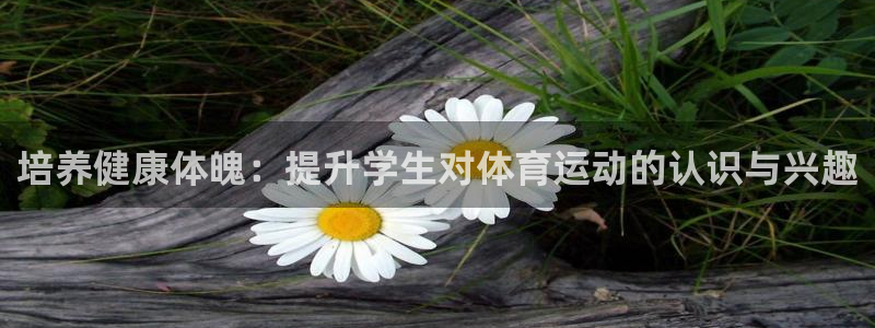 关键词