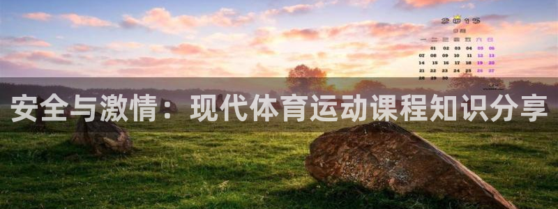 991体育综合1：安全与激情：现代体育运动课程知识分享