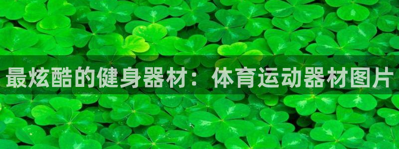 91体育在线登陆：最炫酷的健身器材：体育运动器材图片