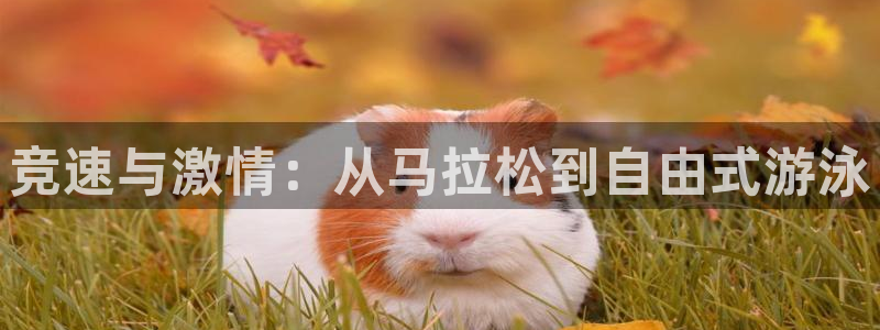 关键词