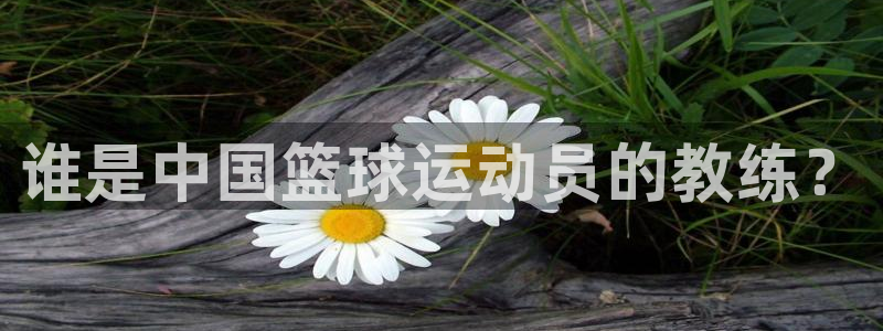 91体育在线登陆