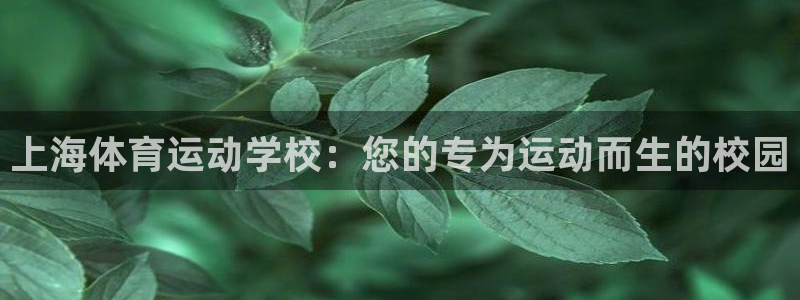 91体育网页版