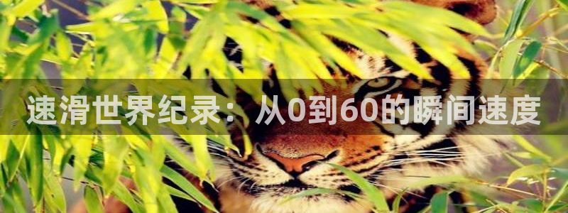 991体育综合1：速滑世界纪录：从0到60的瞬间速度